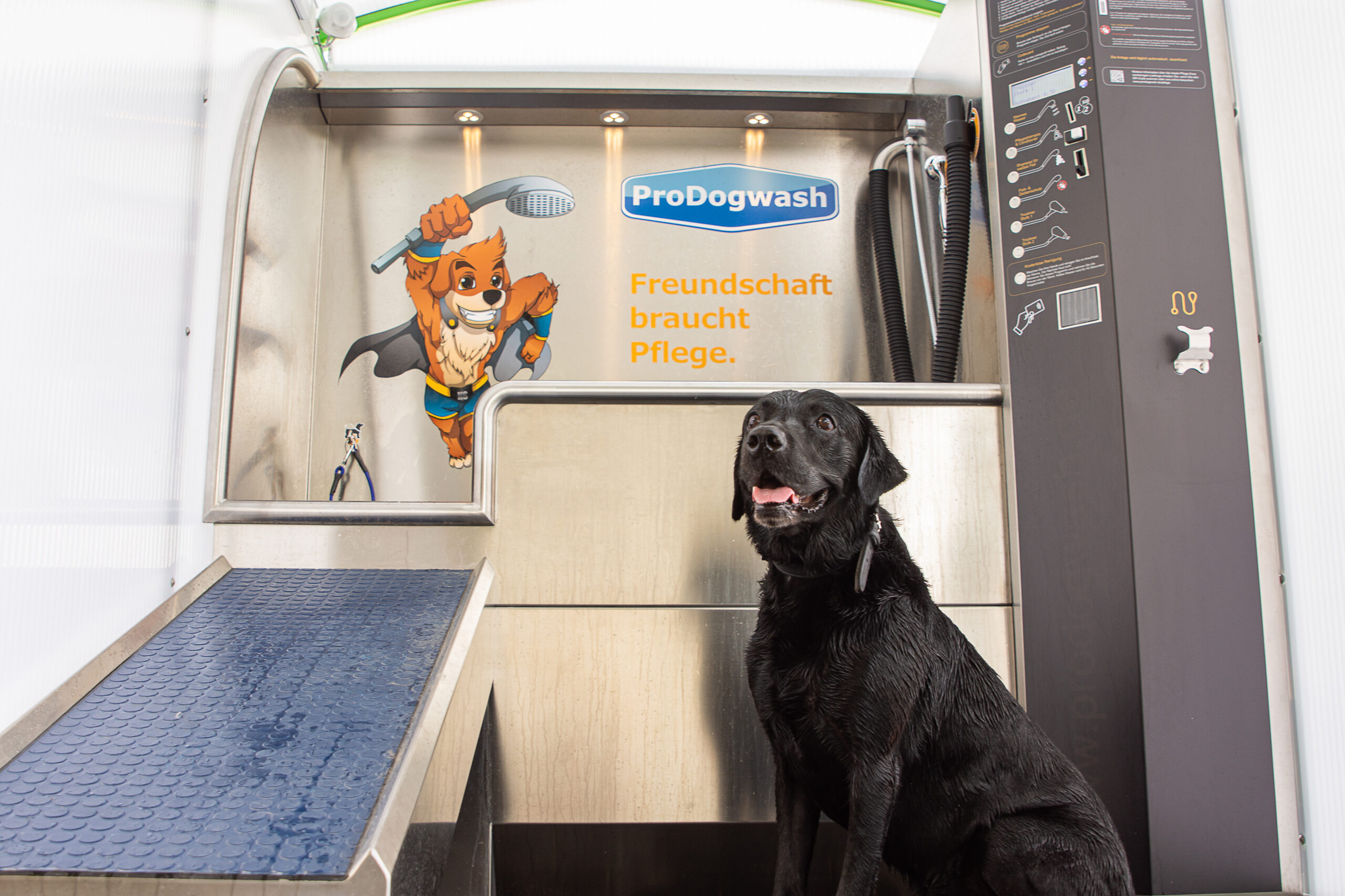 Hund vor der DogWash Anlage