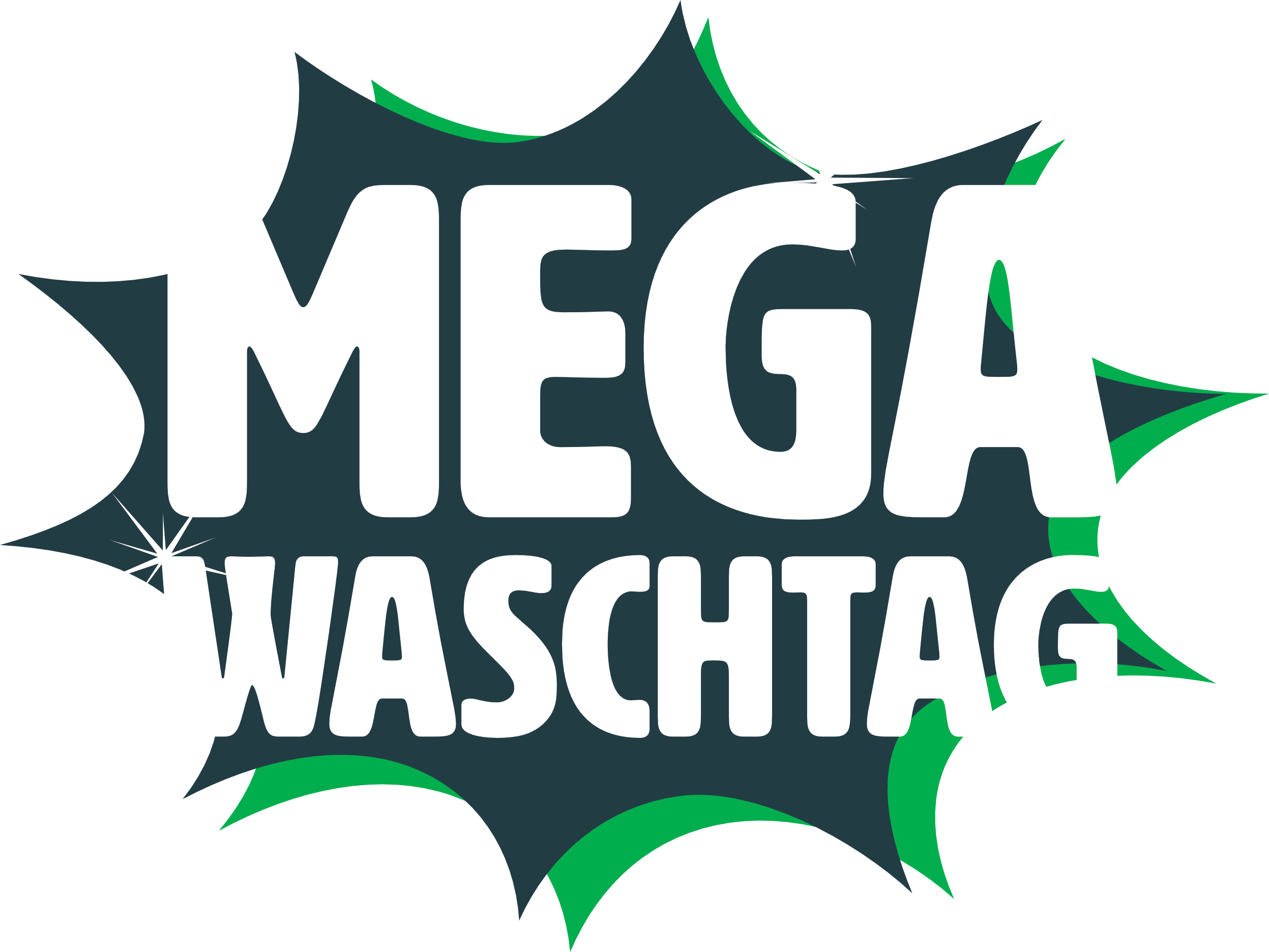 Mega Waschtag Grafik